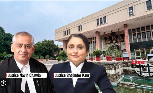 Delhi High Court orders CBI investigation into BSF constables smuggling case